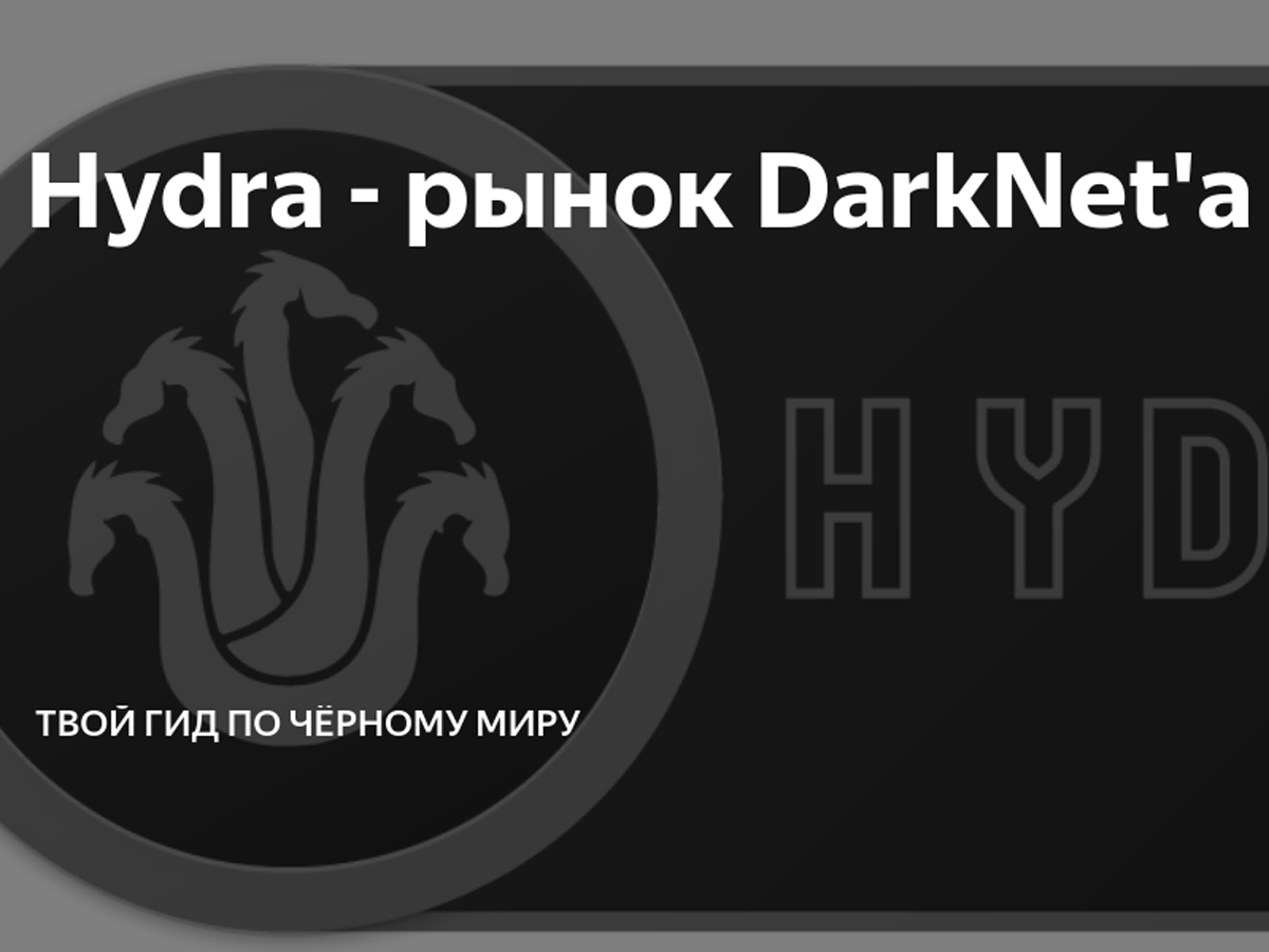 Кракен клирнет ссылка