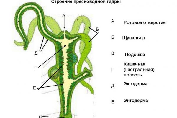 Кракен кз