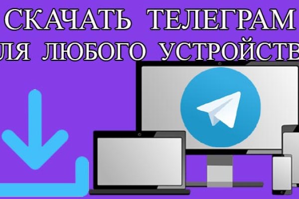 Kraken kraken link24 info