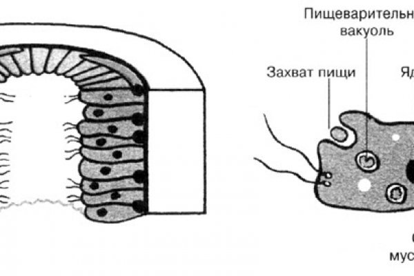 Кракен наркошоп ссылка