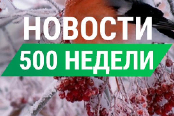 Ошибка на кракене