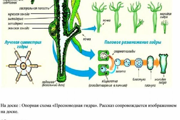 Ссылки онион