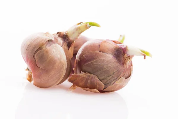 Ссылка на кракен onion kraken dark link
